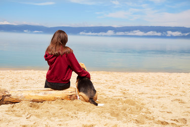 Similar image 21196660