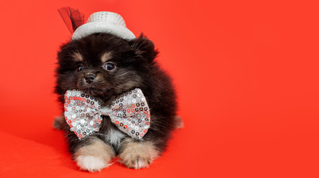 Similar image 21197630