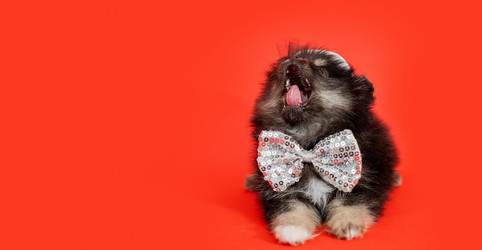 Similar image 21197631