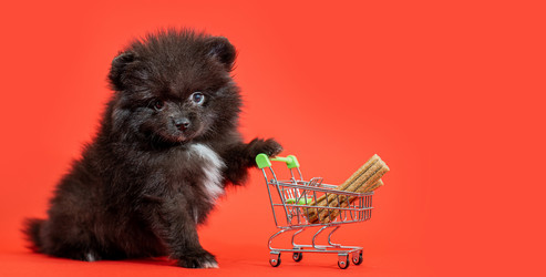 Similar image 21197633