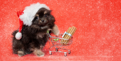 Similar image 21197634