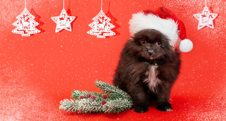 Similar image 21197635