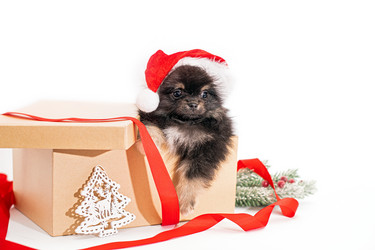 Similar image 21197636