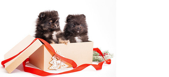 Similar image 21197637