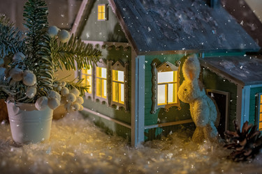 Similar image 21197645