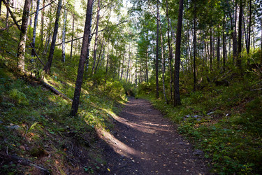 Similar image 21198499