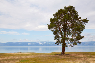 Similar image 21197536