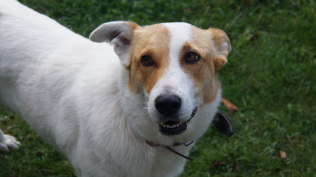 Similar image 21198414