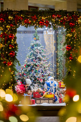 Similar image 21196567