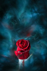 Similar image 21198420