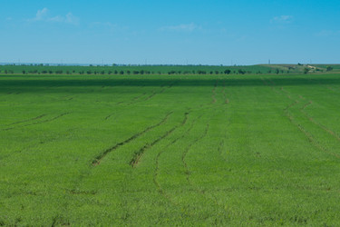 Similar image 21196749