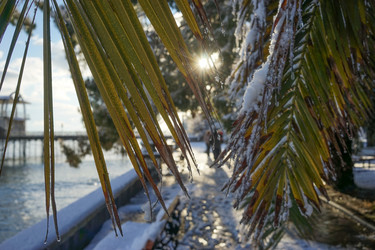 Similar image 21196853