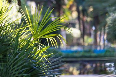 Similar image 21196863