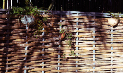 Similar image 21196864