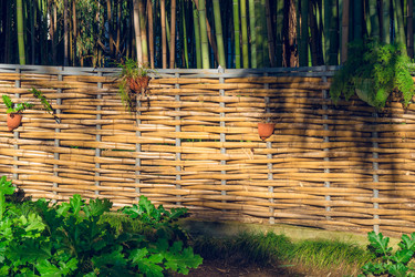 Similar image 21196866