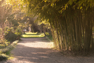 Similar image 21196872