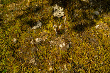 Similar image 21196697