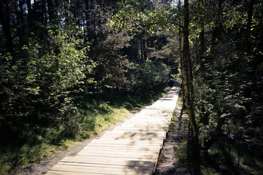 Similar image 21196740