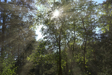 Similar image 21196741