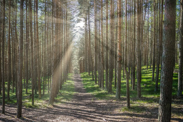 Similar image 21196744