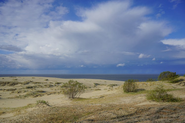 Similar image 21196752