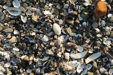 Similar image 21196765