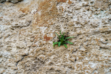 Similar image 21196807