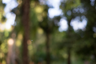 Similar image 21196818