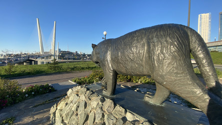 Similar image 21197563