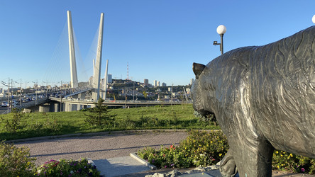 Similar image 21197564