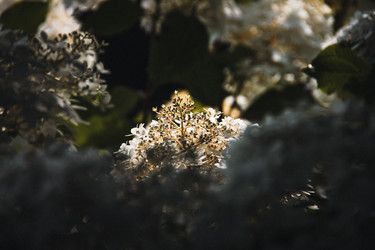 Similar image 21201260