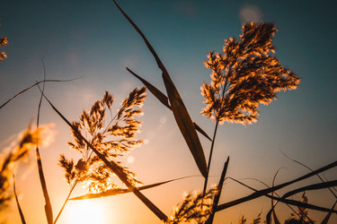 Similar image 21201261