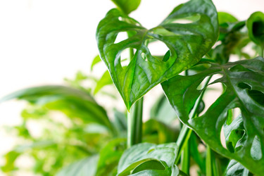 Similar image 21197307