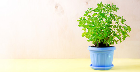 Similar image 21196718