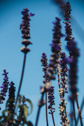 Similar image 21201262