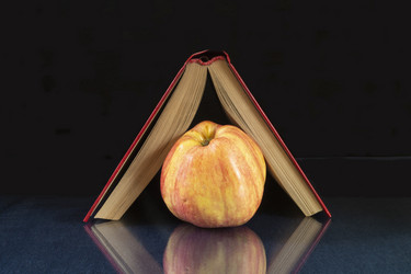 Similar image 21198192