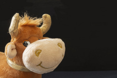 Similar image 21198205