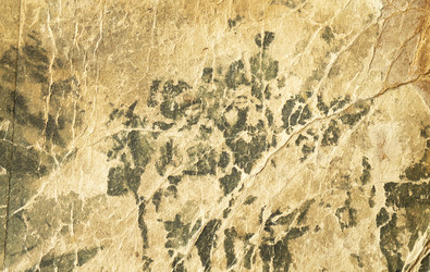 Similar image 21198224