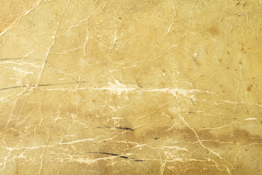 Similar image 21198226