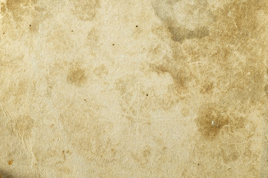 Similar image 21198228