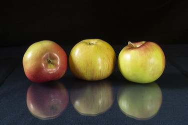 Similar image 21198232