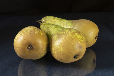 Similar image 21198234