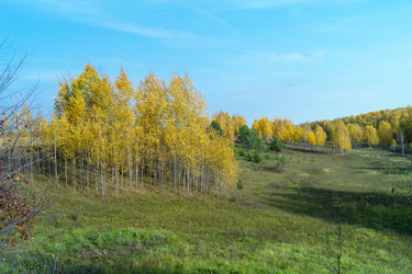 Similar image 21198422