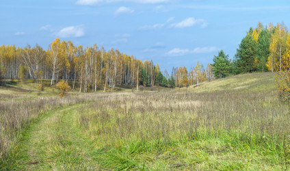 Similar image 21198424