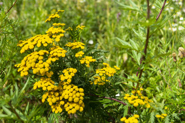 Similar image 21198425