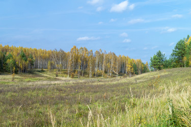 Similar image 21198426