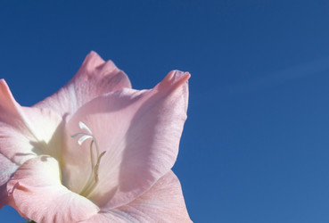 Similar image 21198427