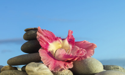 Similar image 21197809