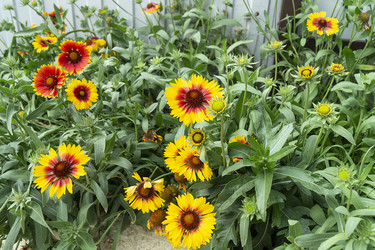 Similar image 21197915