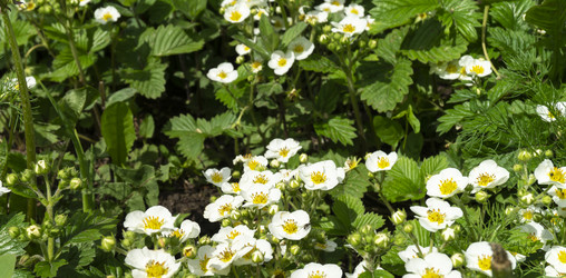 Similar image 21197918